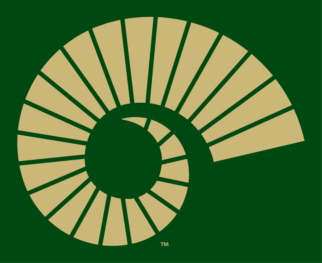 Colorado State Rams 2015-Pres Alternate Logo v4 iron on transfers for clothing